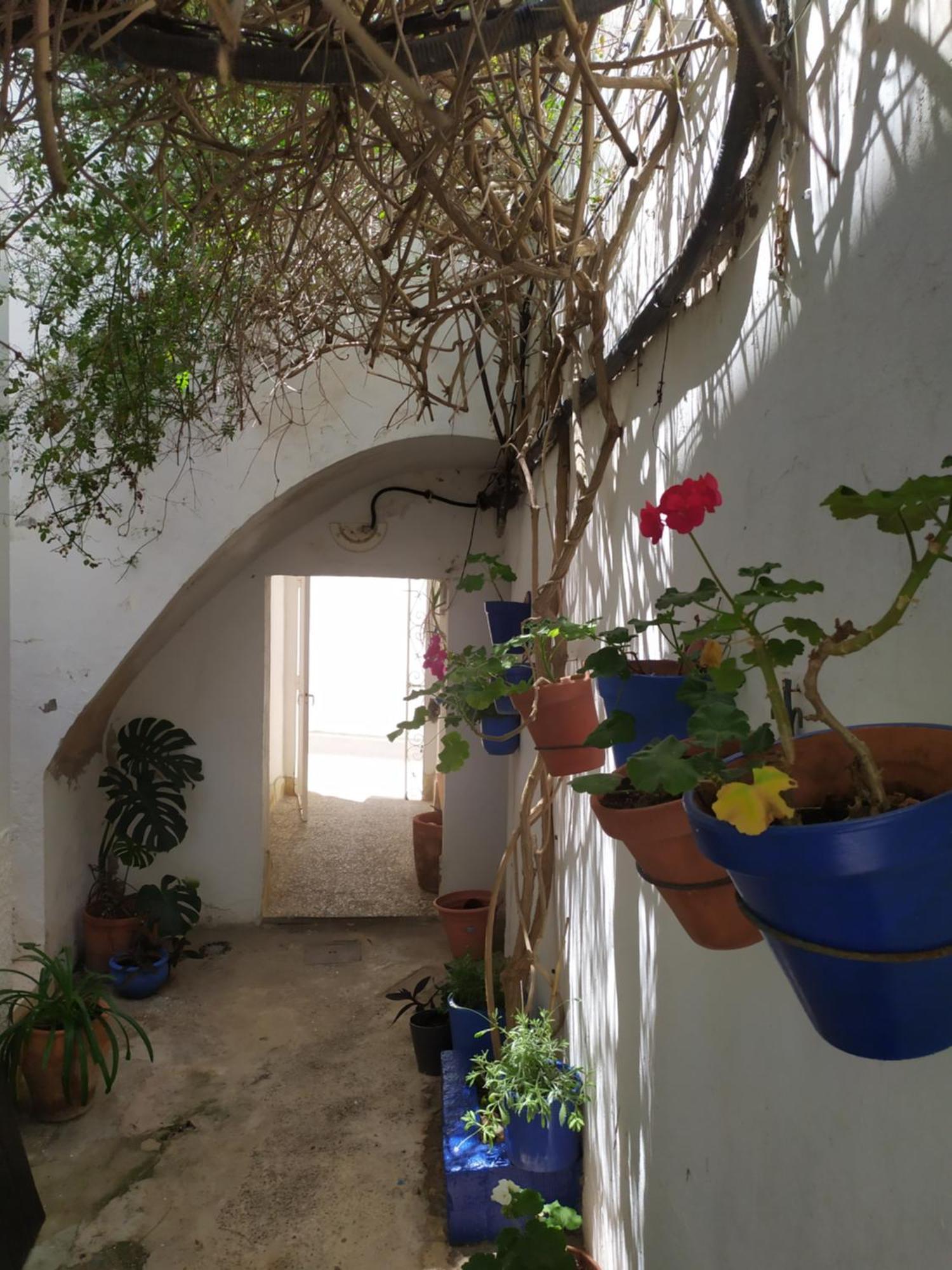 Appartement Azotea Vistas A 5M De La Playa. Recien Restaurado à Conil De La Frontera Extérieur photo